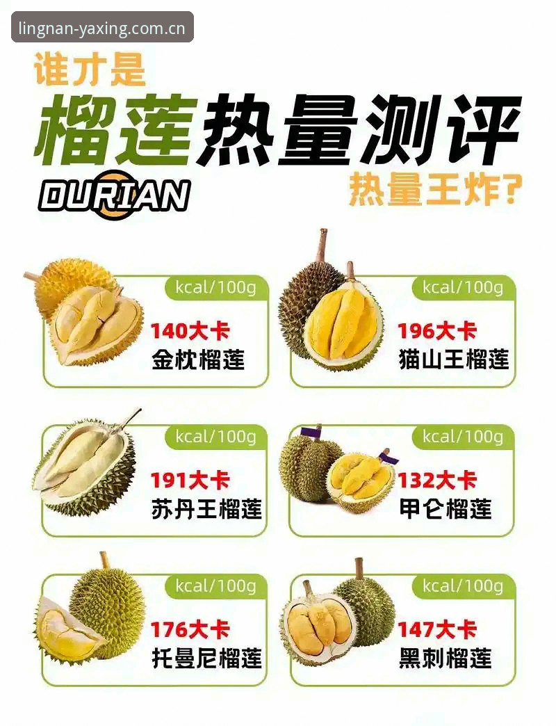 亚星体育平台棋牌数据替代站vs同类平台：哪个更靠谱？实测避坑指南